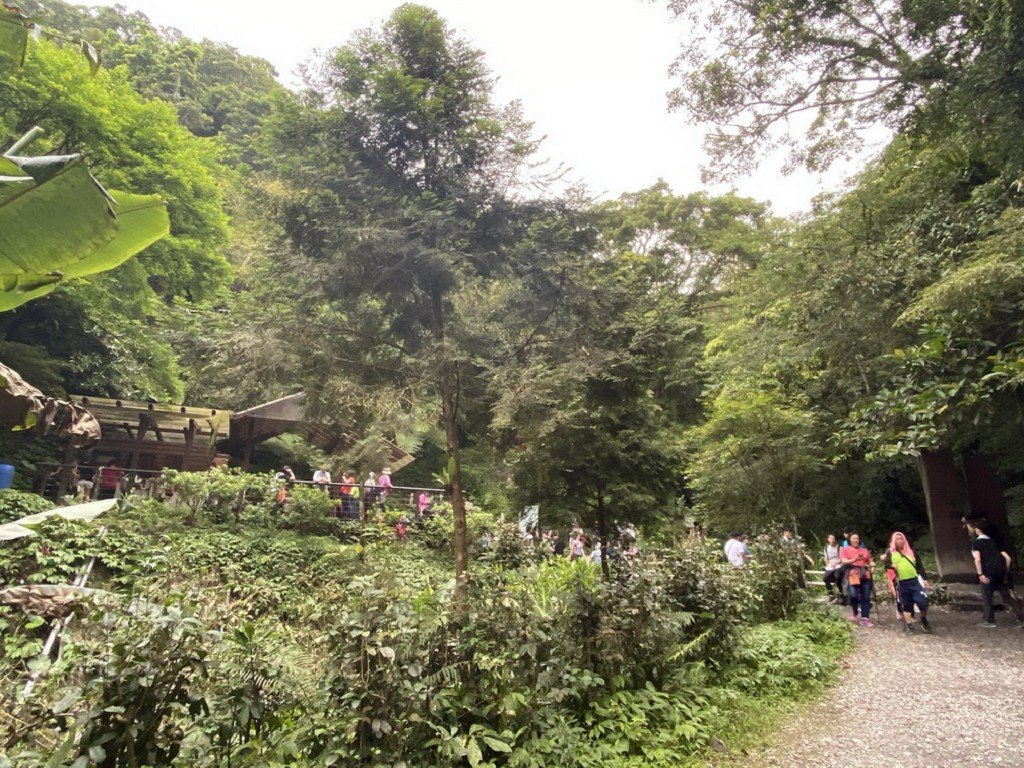風景雖美欲上聖母登山步道  遊客應注意自身安全