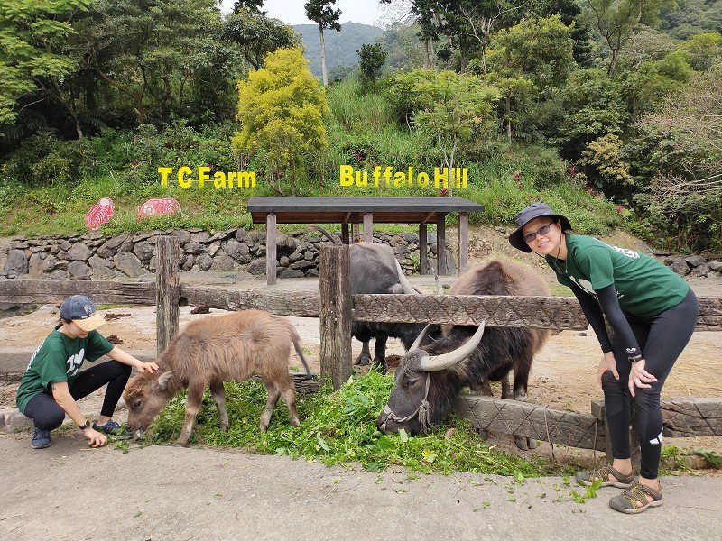 春暖花開,到頭城農場打工換宿正對時<br>來自新加坡青年女力投入田園生活