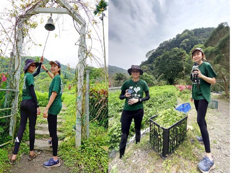 春暖花開,到頭城農場打工換宿正對時<br>來自新加坡青年女力投入田園生活