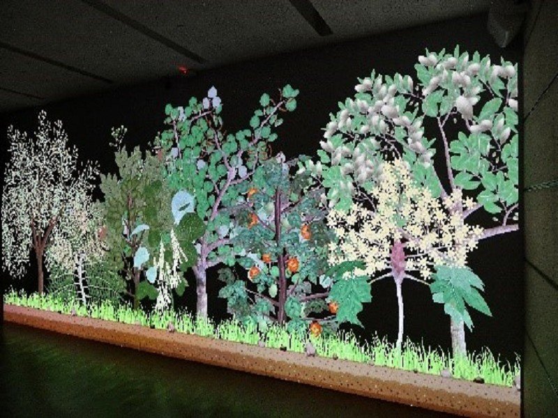 傳藝中心「傳藝植物園」帶你認識植物與人的故事