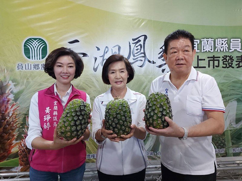 得天獨厚二湖鳳梨上市了！
