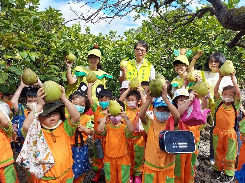 冬山鄉立幼兒園中秋採「柚」趣