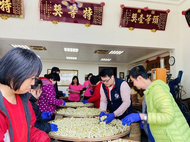 星源茶園柚花茶助蘭智起「厝」
