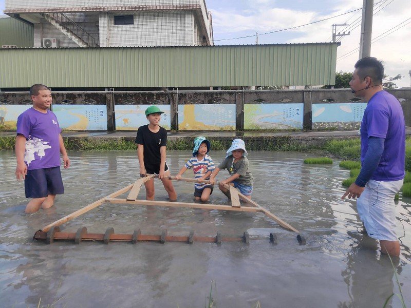 五結鄉食農教育、農村割稻飯體驗農耕樂趣