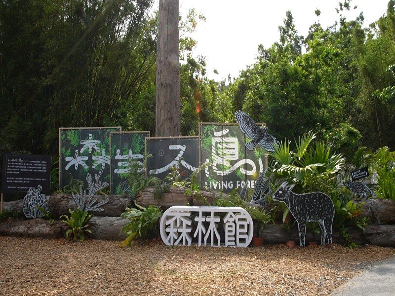 擁抱森林,守護未來—「綠博森生不息 Living Forest」喚醒人與自然的共生記憶