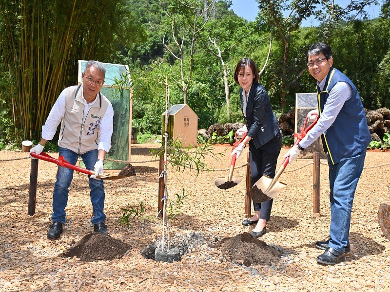 擁抱森林,守護未來—「綠博森生不息 Living Forest」喚醒人與自然的共生記憶