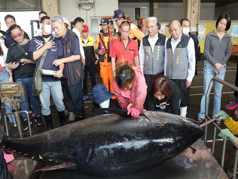 蘇澳籍全昌隆168號釣獲2025年全國第一尾黑鮪魚重216公斤