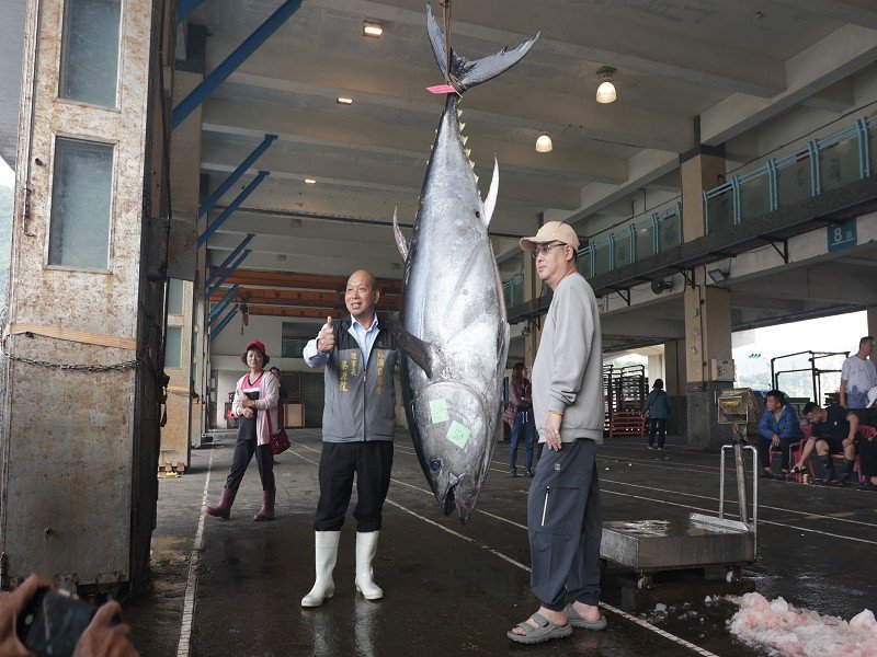 蘇澳籍全昌隆168號釣獲2025年全國第一尾黑鮪魚重216公斤
