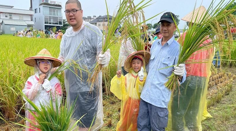 羅東鎮立幼兒園食農教育向下扎根「割稻、慶豐收」