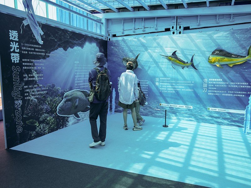 海洋館「蔚藍脈動」民眾學習淺海透光帶的競爭與海洋永續政策