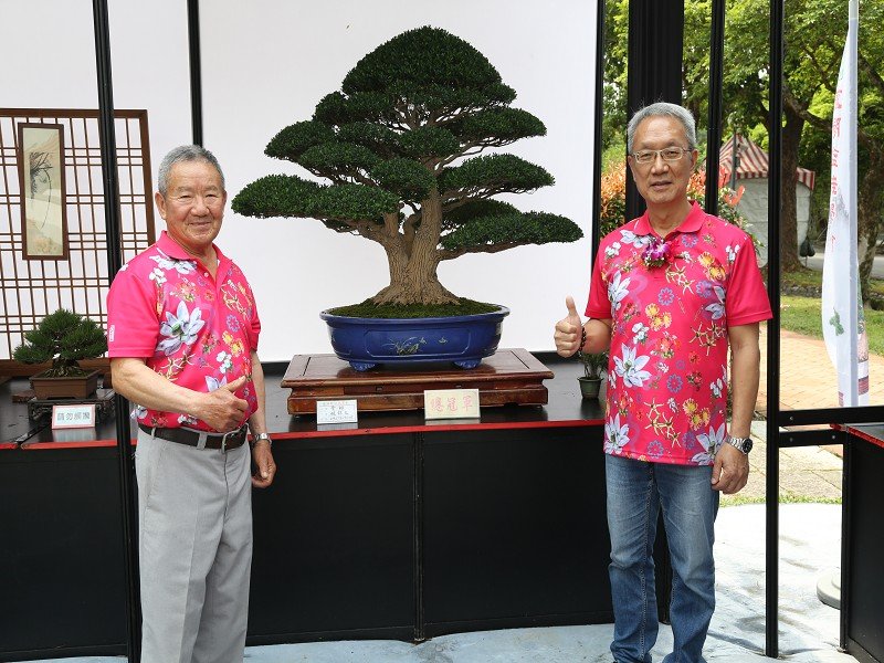 一盆一世界 宜蘭綠博呈現盆栽藝術新境界