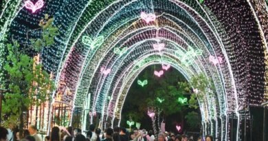 2026宜蘭情人節浪漫揭幕　268公尺光影鵲橋點亮冬山河